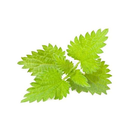 Ortie de Natural Origins labellisée Botani+