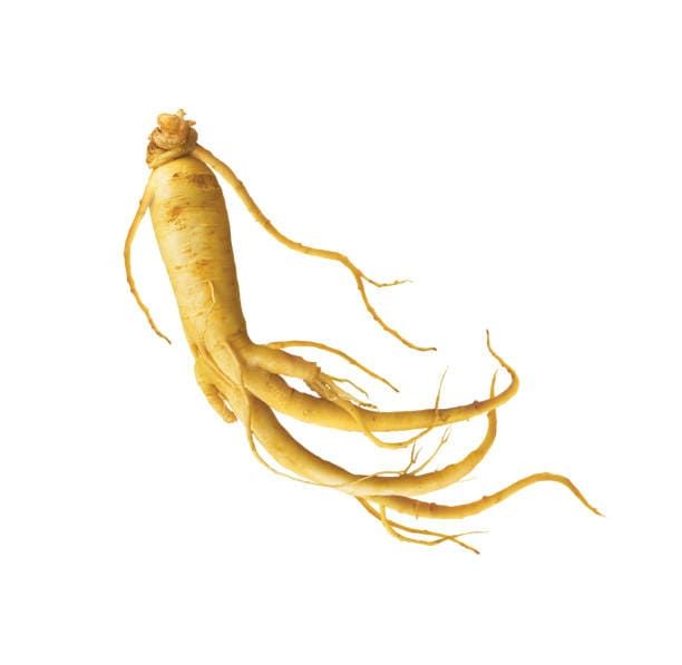 Natural Origins ginseng 4:1 validé Botani+