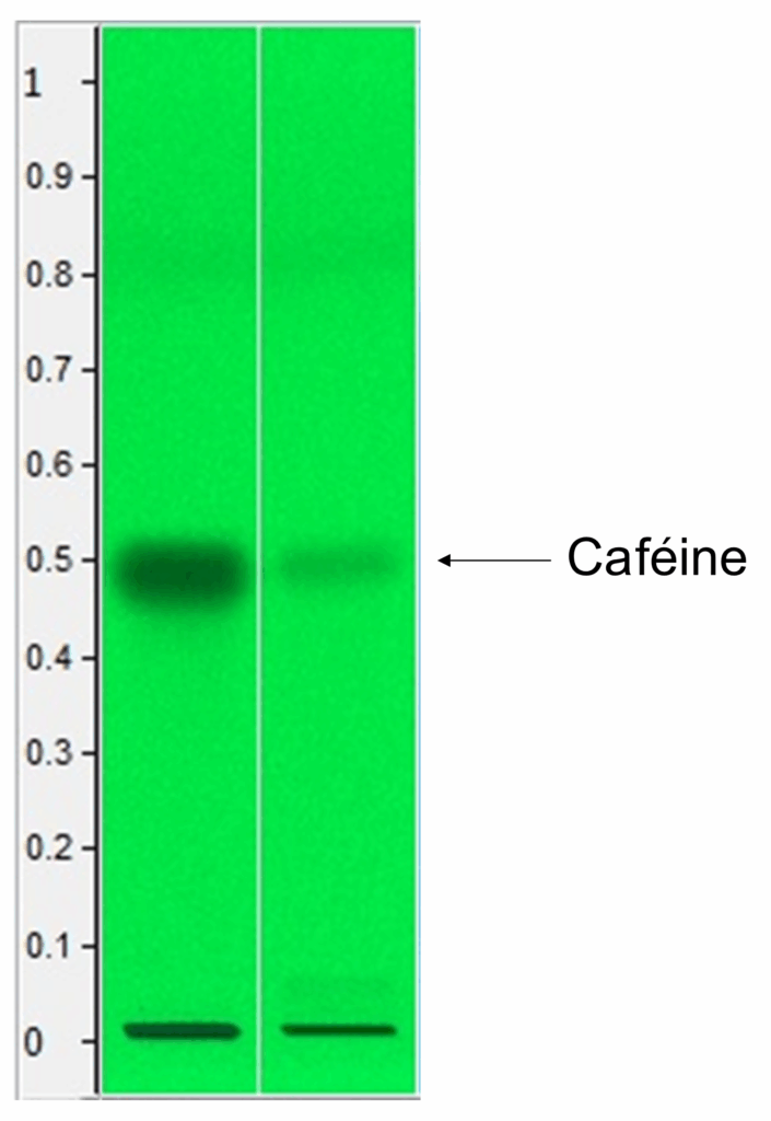 Profils HPTLC d'un extrait sec de Guarana enrichi en caféine (gauche) et d'une référence botanique de Guarana (droite) | Blog BotaniCERT & Botani+