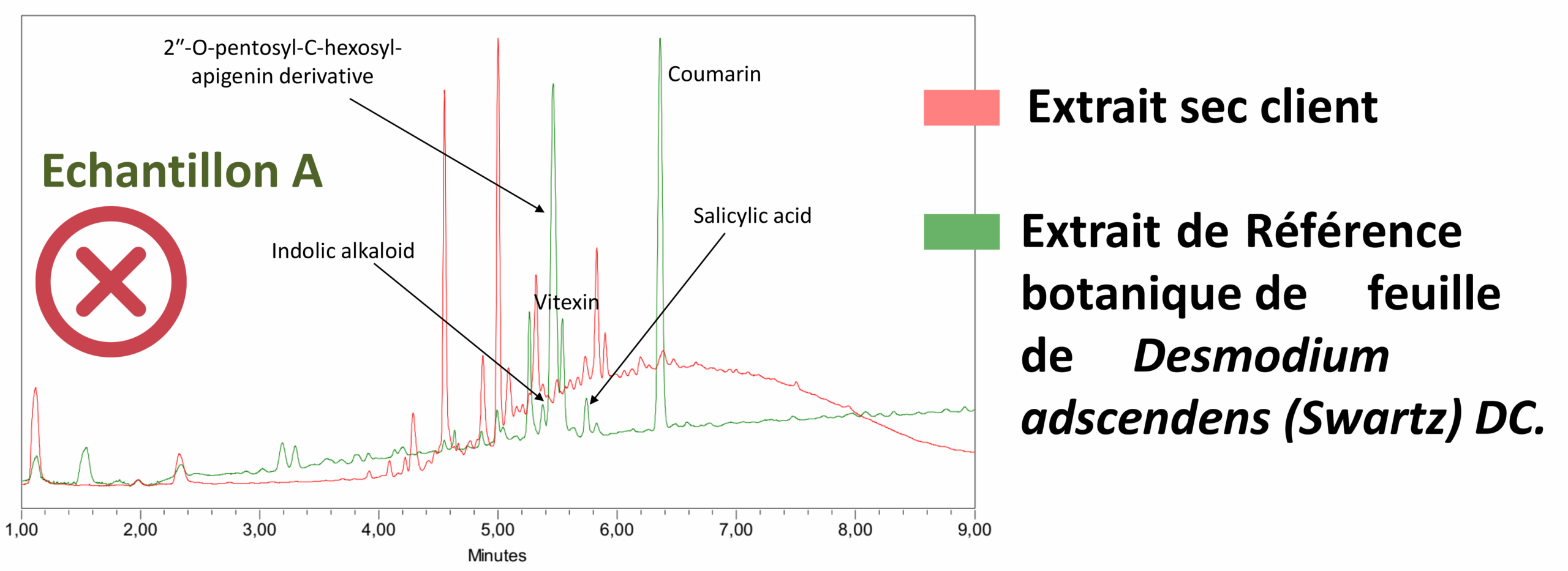 Détecter la falsification du Desmodium adscendens (Swartz) DC. Les analyses d'échantillons client | Blog BotaniCERT & Botani+