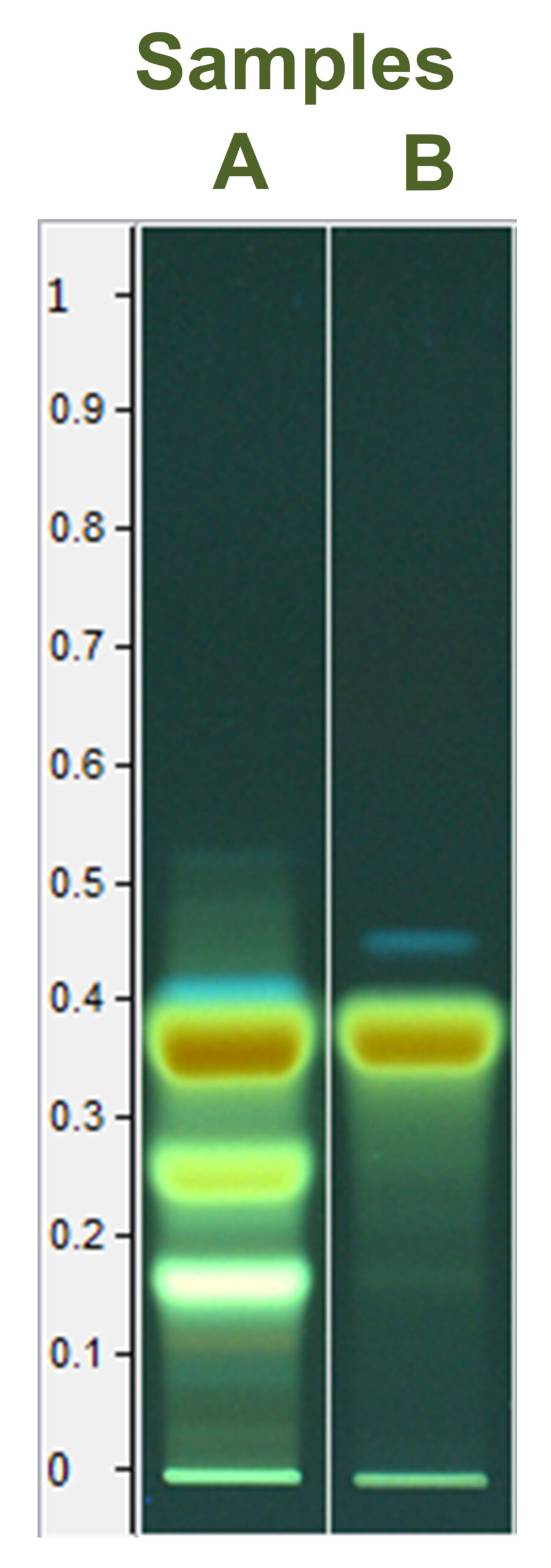 HPTLC chromatogram from reference Curcuma longa L. roots (A) and commercial curcuma extract (B) | BotaniCERT & Botani+ blog
