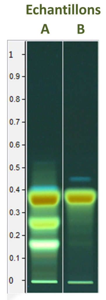 Chromatogramme HPTLC d'un extrait de rhizome de Curcuma longa L. de référence (A) et d'un extrait sec de curcuma issu du commerce (B) | Blog BotaniCERT & Botani+